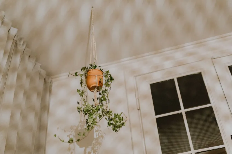 Knot Your Average Apartment: Why Gen Z Is Hanging Macramé and Never Looking Back